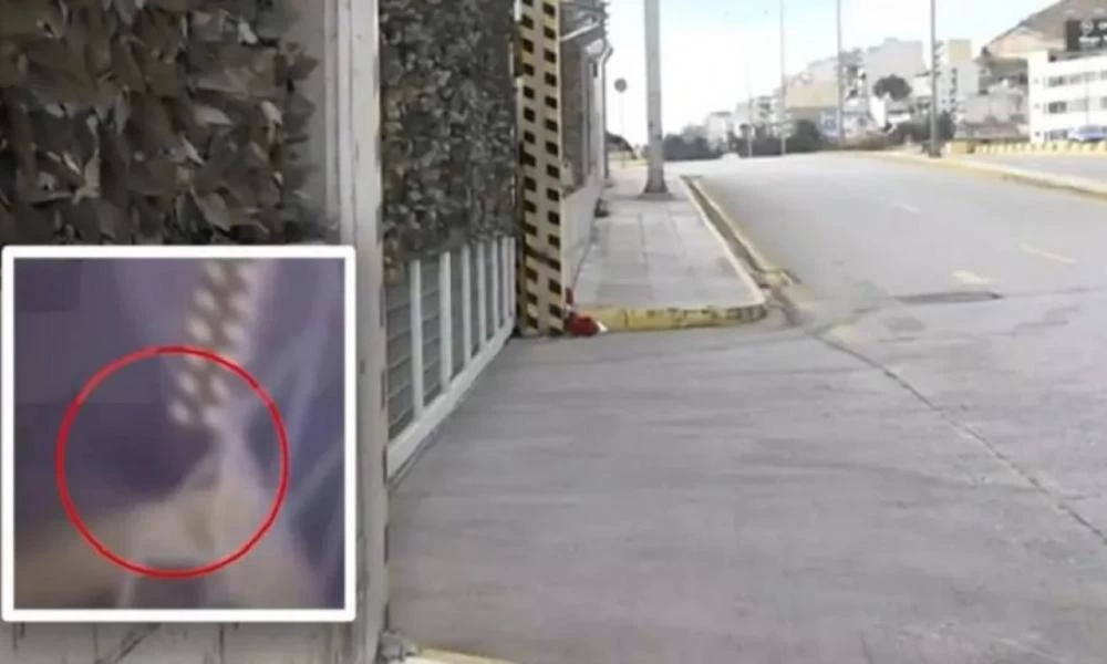 Κερατσίνι: Συνθήματα και πανό έξω από το εργοστάσιο που σκοτώθηκε η 8χρονη Όλγα